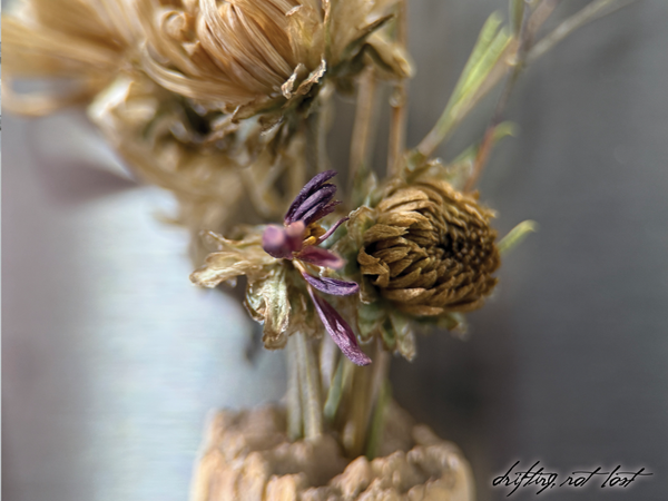 Driftwood Vase Magnet with Dried Flower