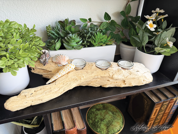 Handmade Driftwood Candle Holder w/ Seashells