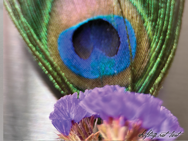 Driftwood Vase Magnet with Dried Flower