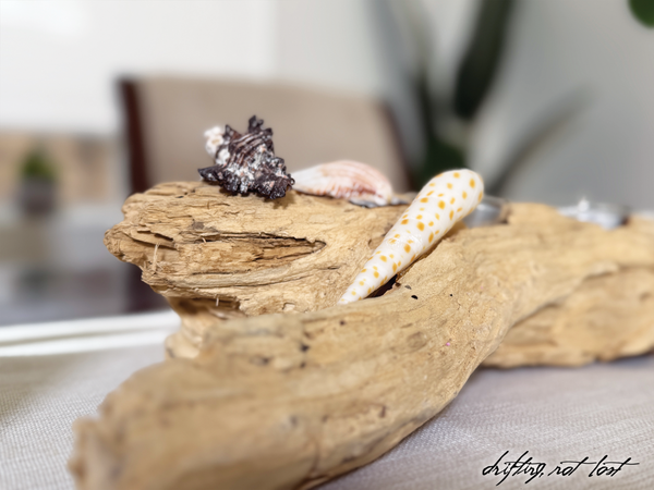 Handmade Driftwood Candle Holder w/ Seashells