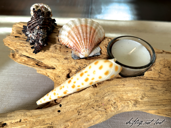 Handmade Driftwood Candle Holder w/ Seashells