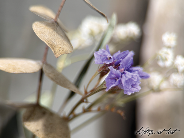 Driftwood Vase Magnet with Dried Flower