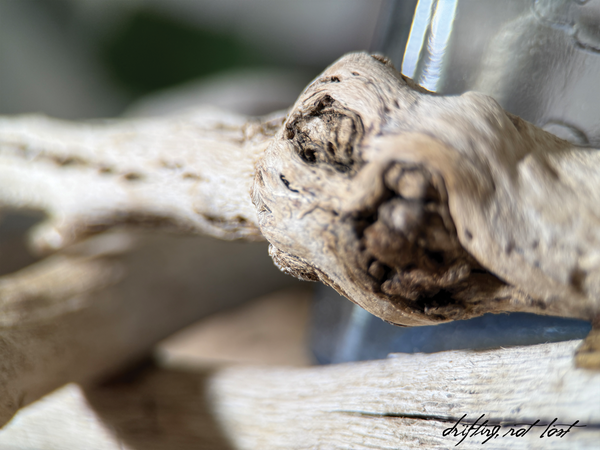 Vintage Driftwood Centerpiece w/ Antique Glass Vase | Coastal Rustic Home Decor