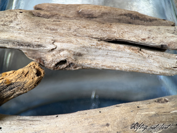 Vintage Driftwood Centerpiece w/ Antique Glass Vase | Coastal Rustic Home Decor