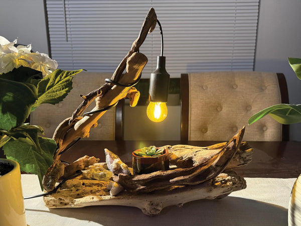 Driftwood Lamp with live succulent plant and Amethyst, Fluorite & Quartz Crystals