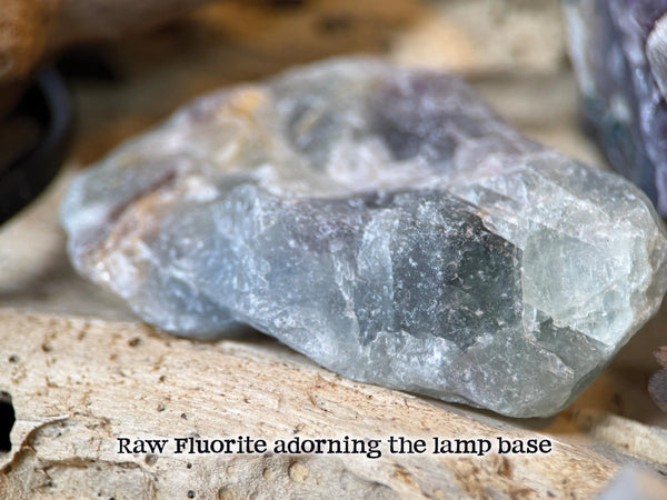 Driftwood Lamp with live succulent plant and Amethyst, Fluorite & Quartz Crystals