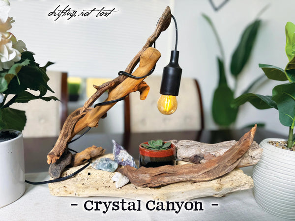 Driftwood Lamp with live succulent plant and Amethyst, Fluorite & Quartz Crystals