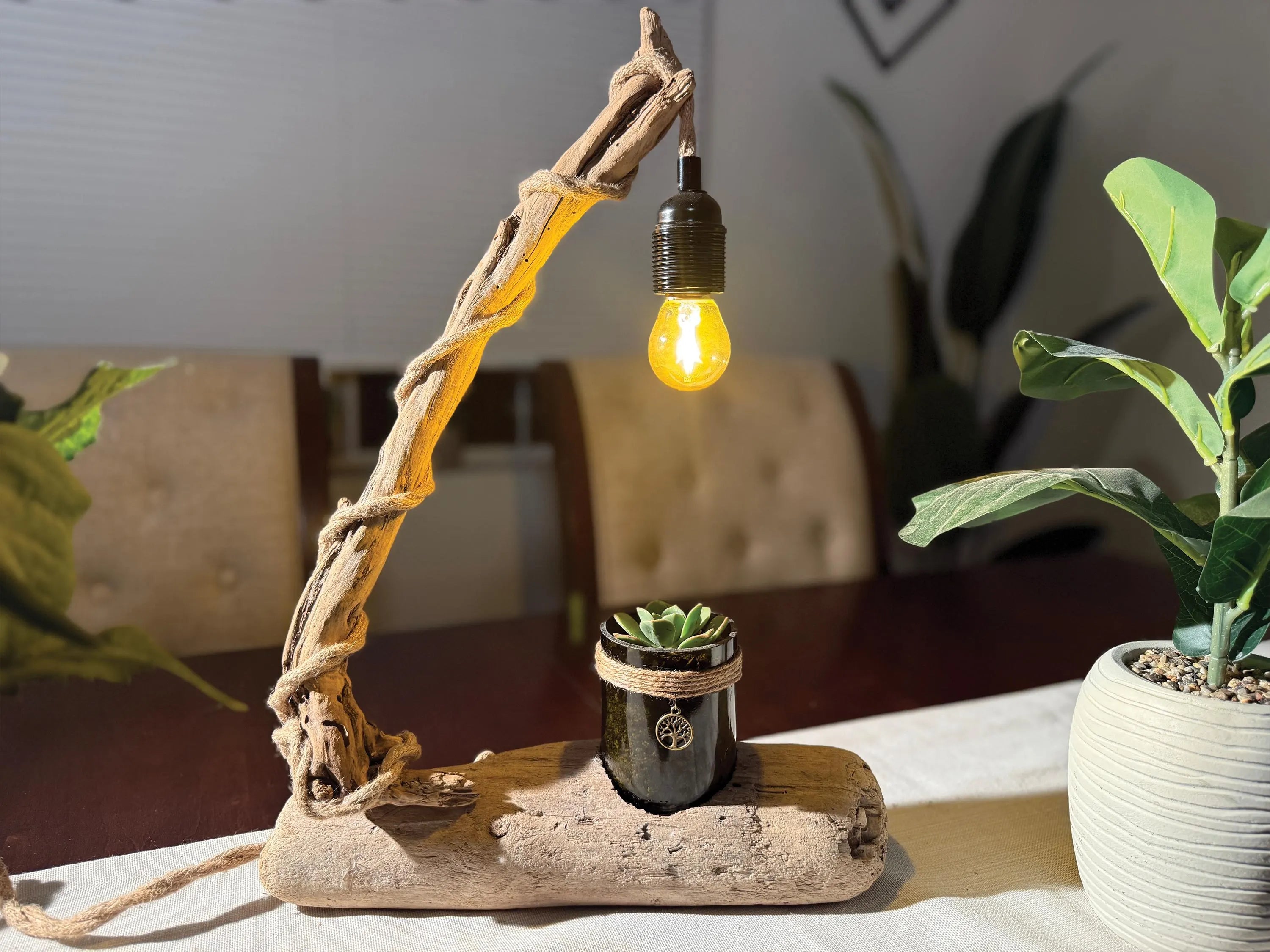 succulent light lamp Driftwood Desk Lamp, Handcrafted with live succulent plant – Titled "M – Drifting, Not Lost