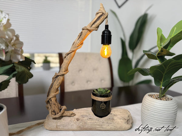 Driftwood Desk Lamp, Handcrafted with live succulent plant  – Titled 