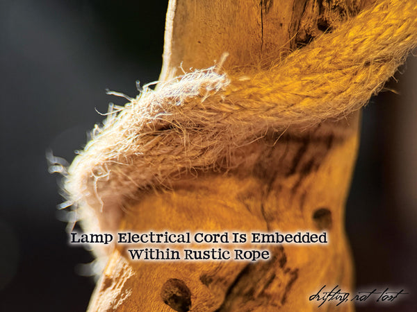 Driftwood Desk Lamp, Handcrafted with live succulent plant  – Titled 