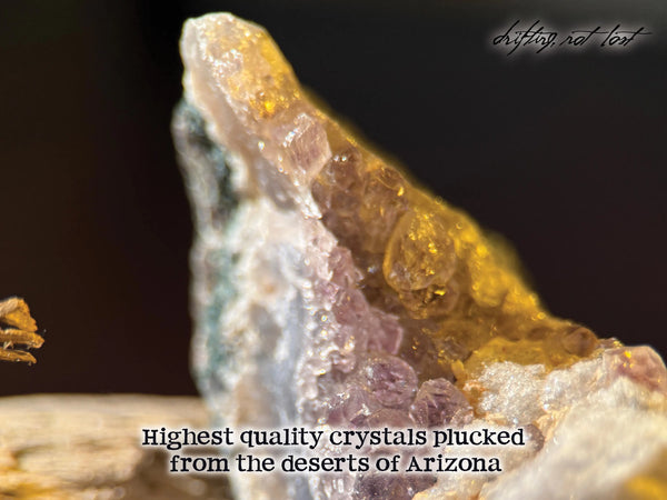 Driftwood Lamp with live succulent plant and Amethyst, Fluorite & Quartz Crystals