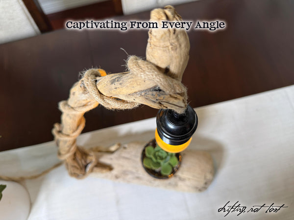 Driftwood Desk Lamp, Handcrafted with live succulent plant  – Titled 