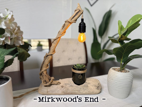 Driftwood Desk Lamp, Handcrafted with live succulent plant  – Titled 